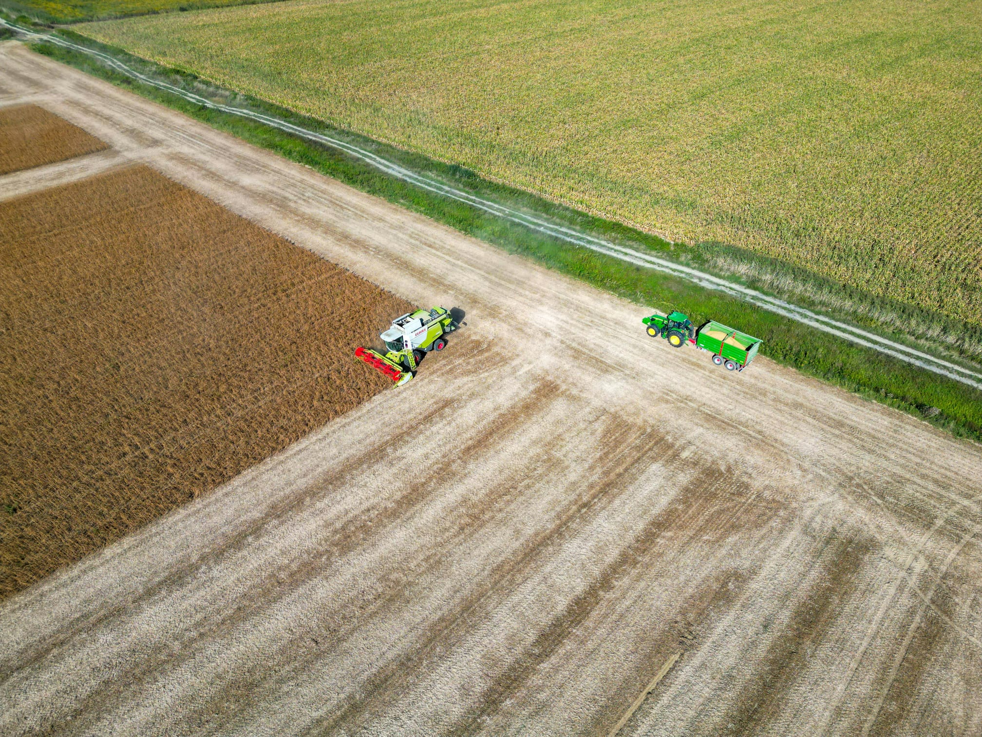 Why High Demand for Canadian Lentils